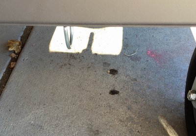 image1.JPG (210.44 KiB) Viewed 58969 times image1.JPG